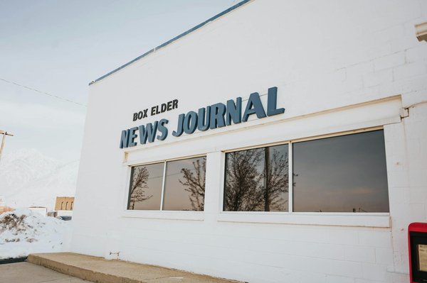 Essentiel mutuelle animaux : guide complet