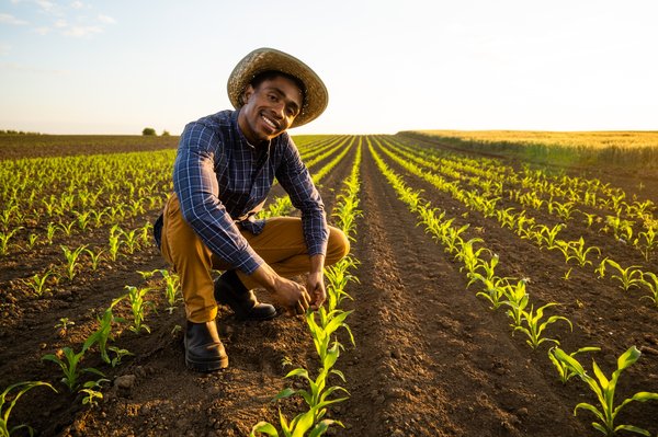 Adopter l'agrivoltaïsme pour une agriculture durable et résiliente